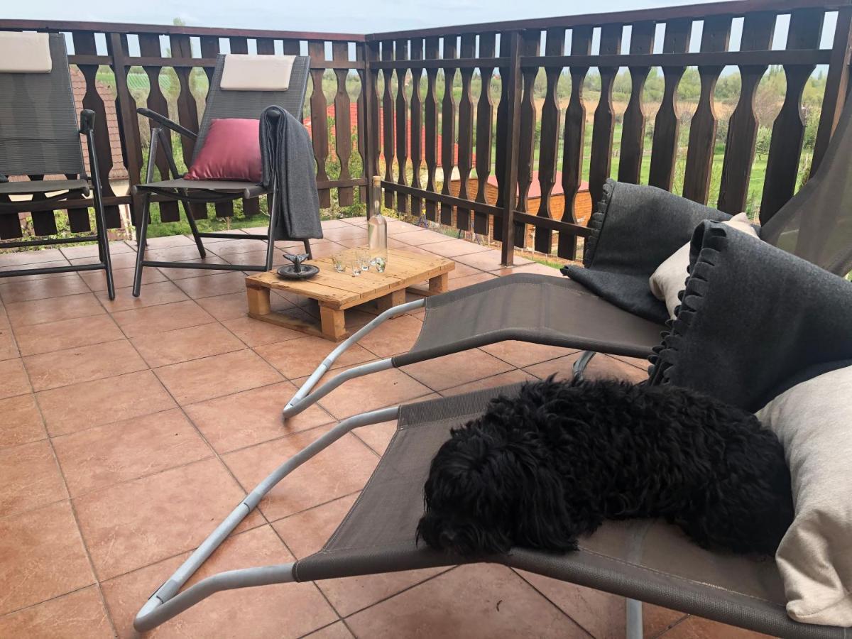 Balaton Apartman Paloznak Esterno foto